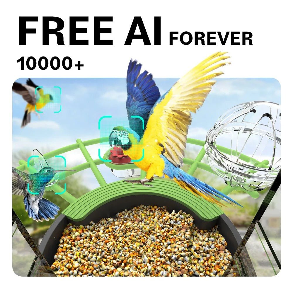 Smart bird feeder