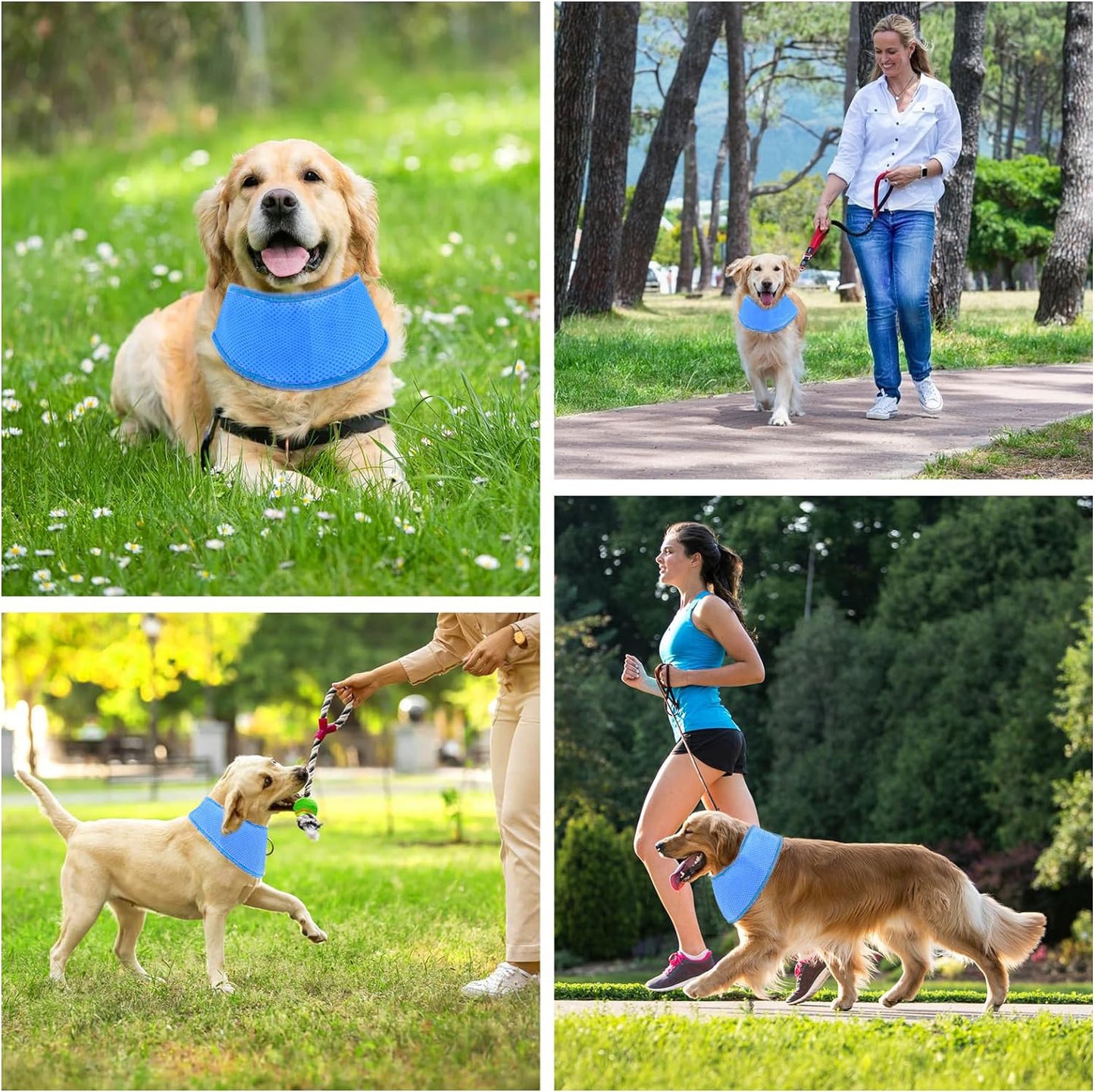 # Pet Summer Cooling Neck Slit