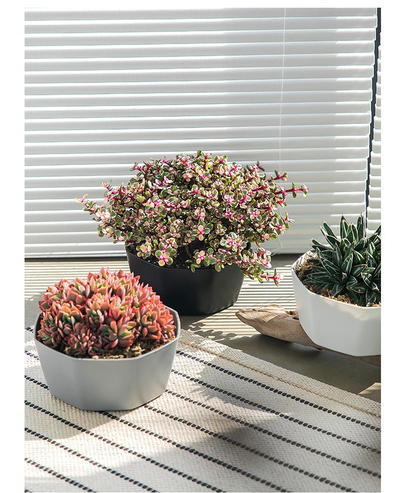 **Resin Plastic Succulent Flower Pots**