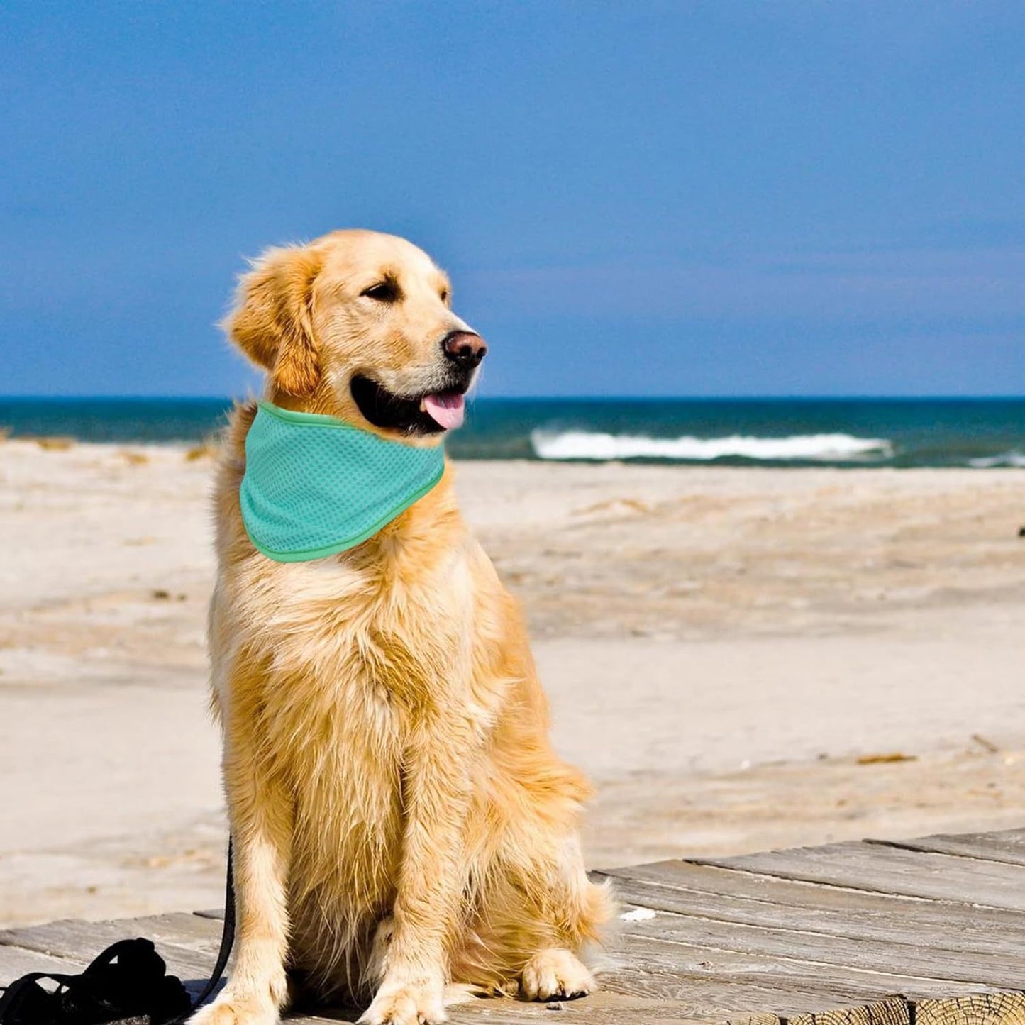 # Pet Summer Cooling Neck Slit