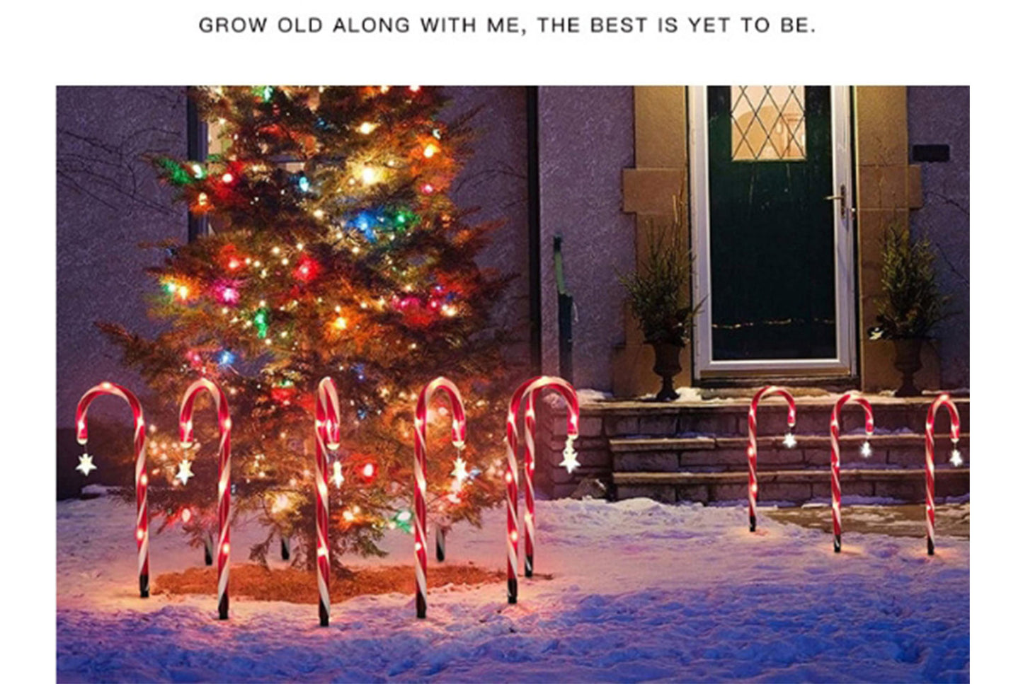 LED Solar Christmas Cane Ground Lights-（5pcs）