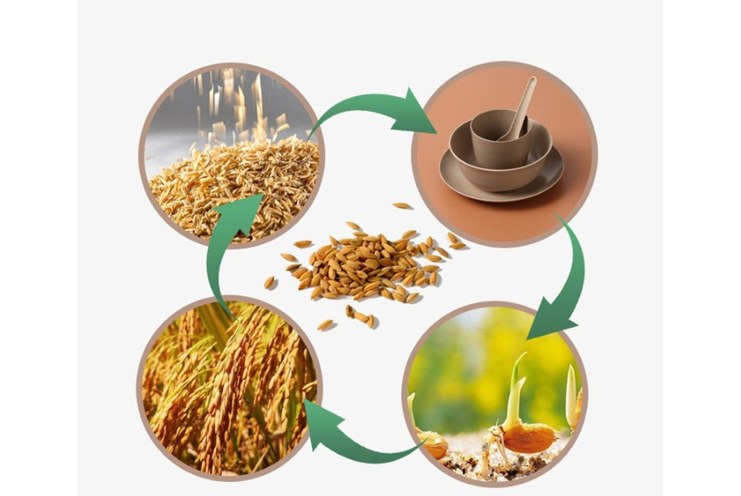 **Eco-friendly Rice Husk Dinnerware Set (Multiple Sizes Available)**