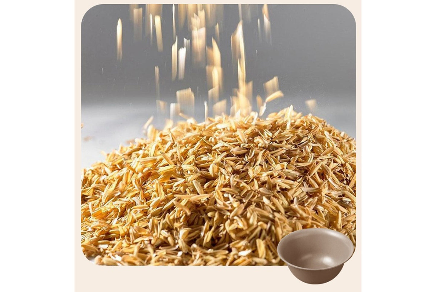 **Eco-friendly Rice Husk Dinnerware Set (Multiple Sizes Available)**