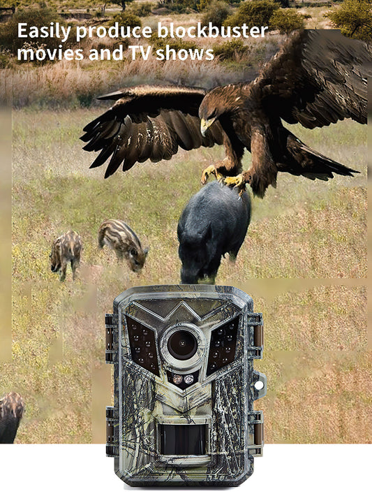 Trail Camera - HD Infrared Motion Detection Surveillance Camera