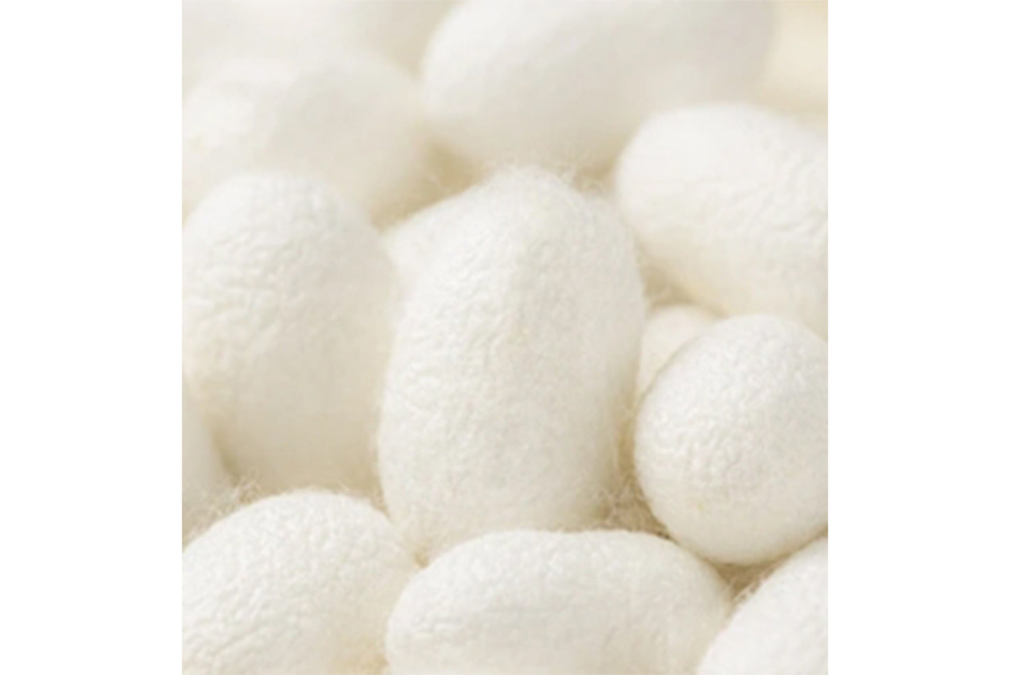 **Cashmere and Silk Warm Autumn Jacket and Long Pants Set (Unisex)**