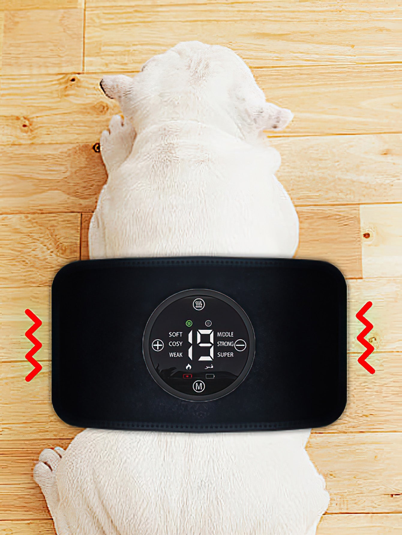 Pet Far-Red Light Therapy Device