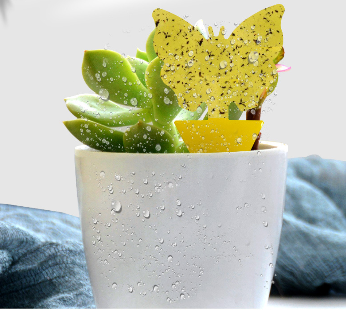 # Butterfly-Shaped Double-Sided Sticky Insect Sticky Cards