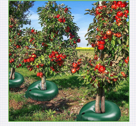 # Ring-Shaped Tree Irrigation Drip Bag