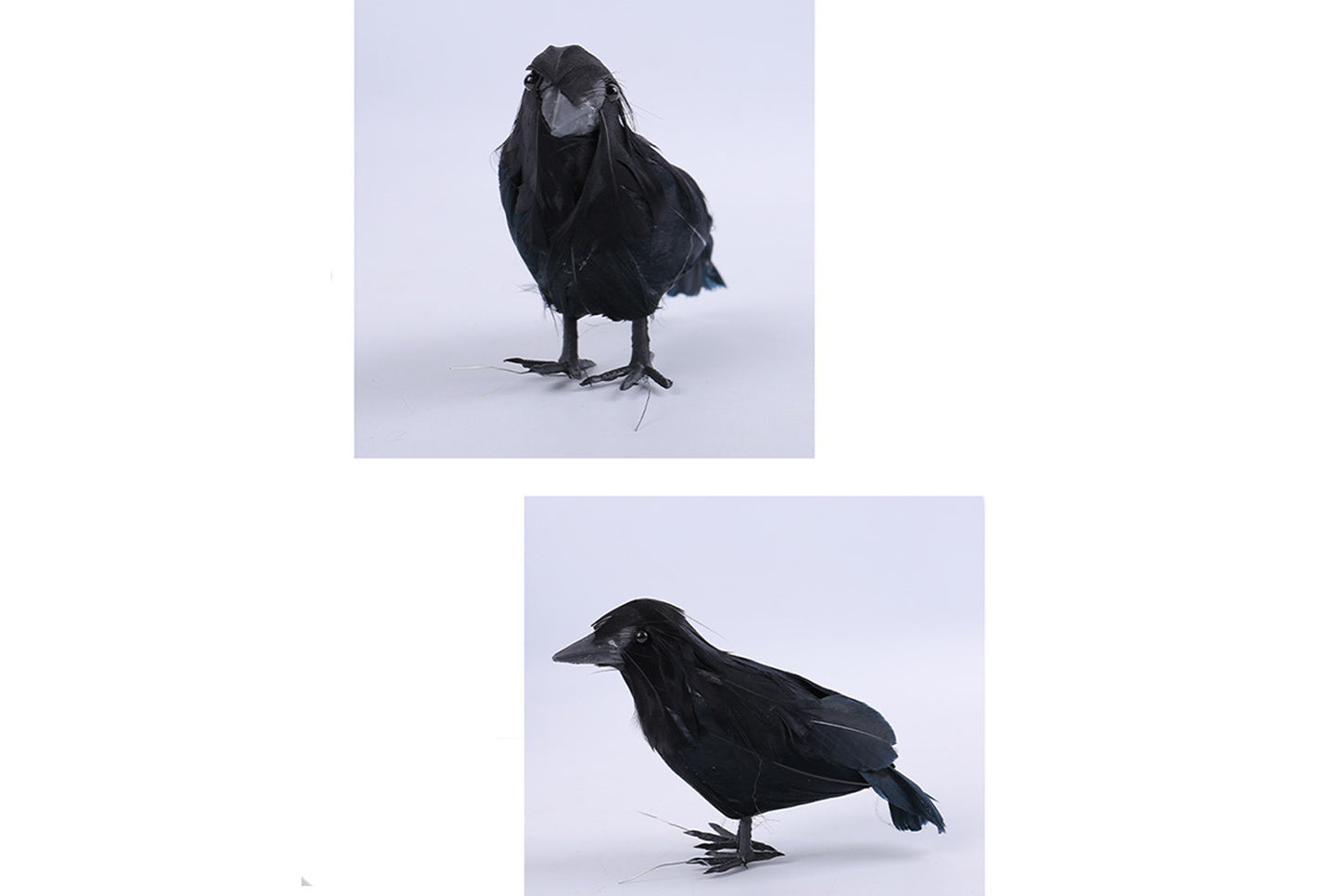 **Halloween Feather Crow Desktop Decoration, Black Crow Photography Prop**