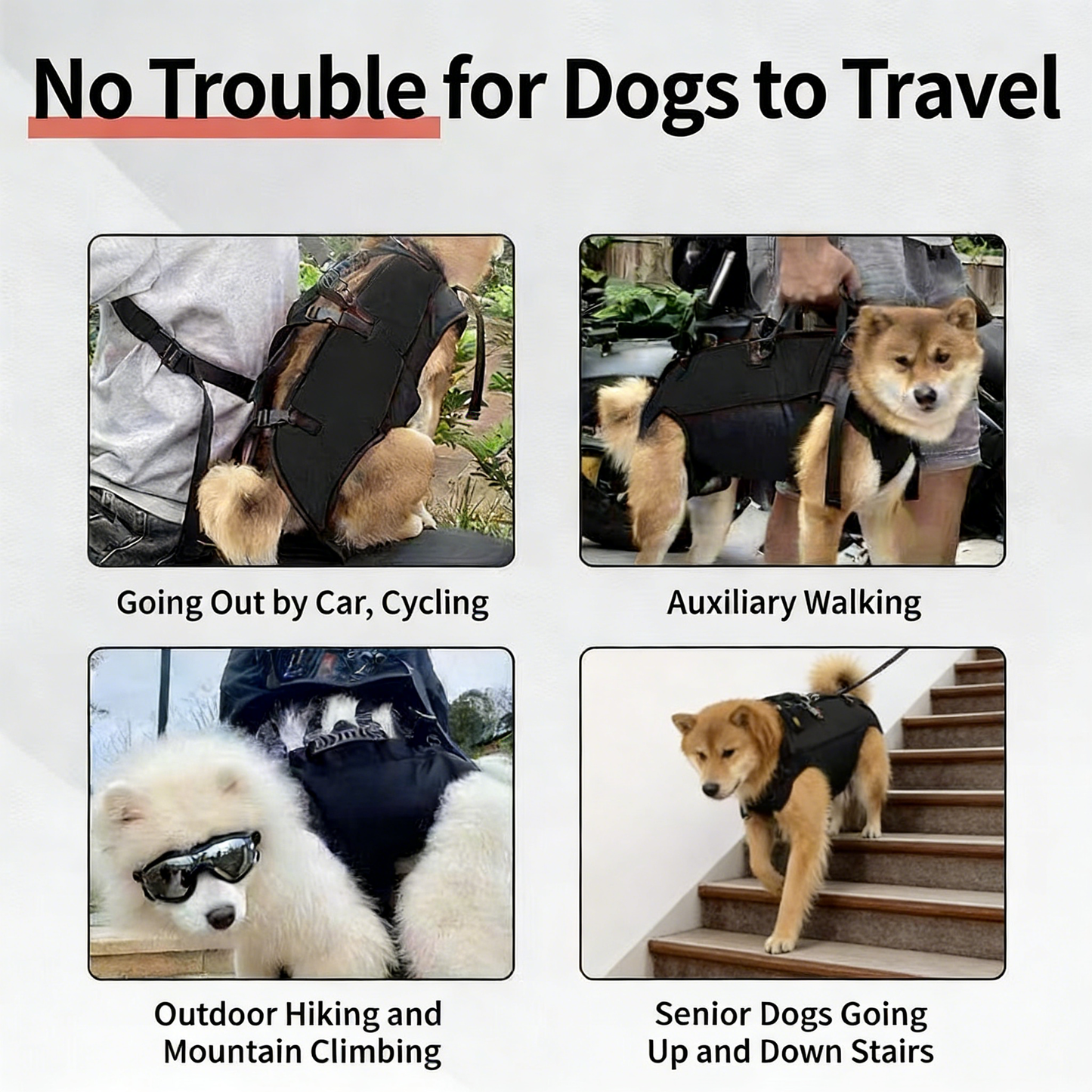 Pet outdoor backpack