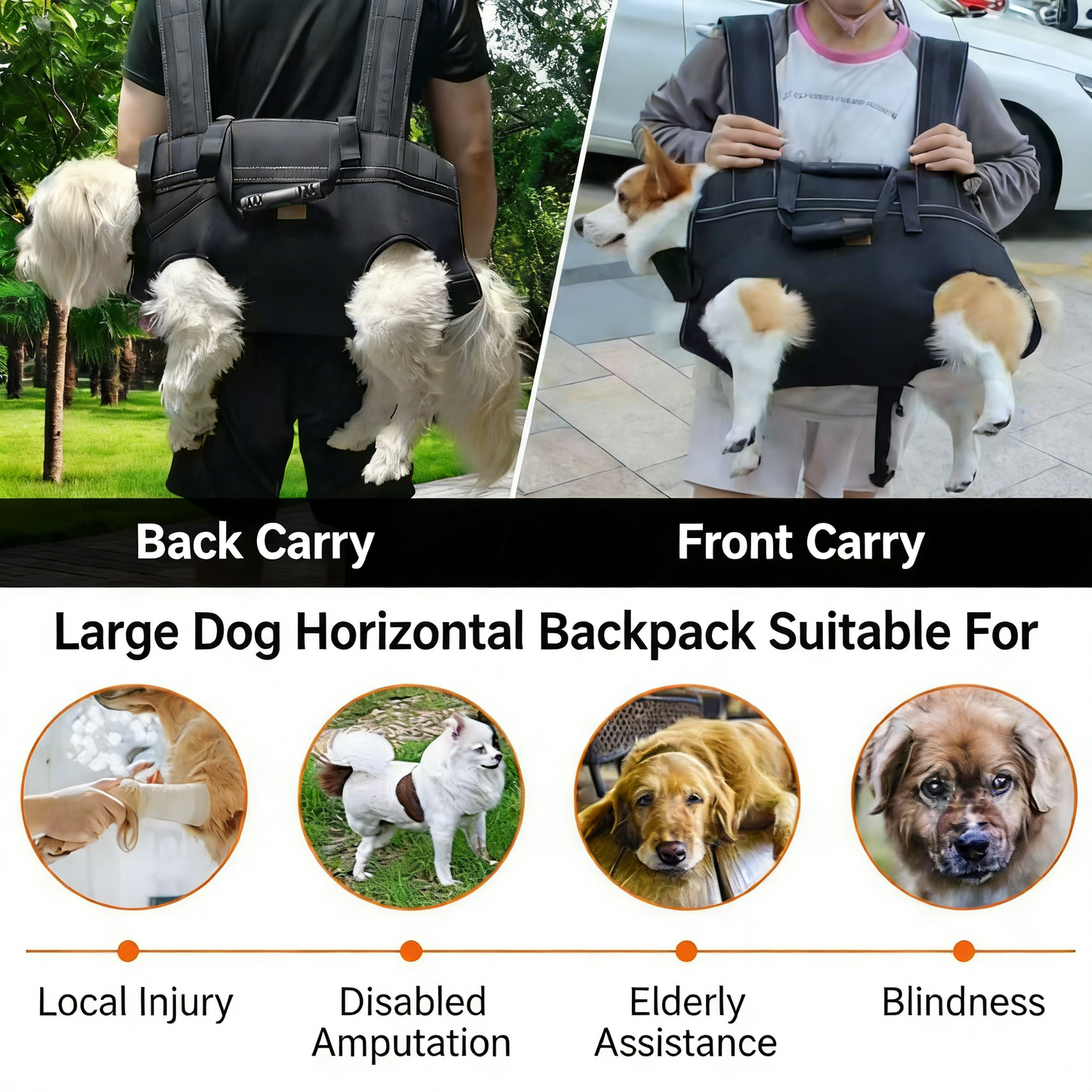 Pet outdoor backpack