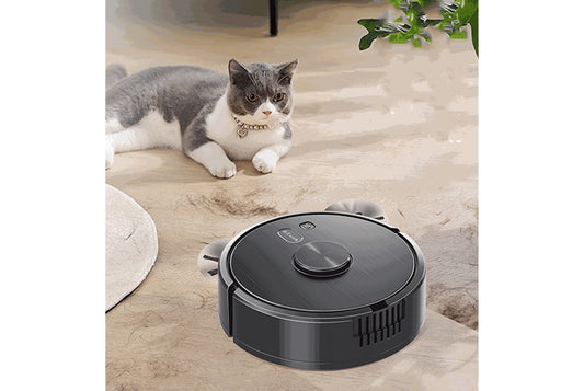 Smart sweeping robot (home wireless model)