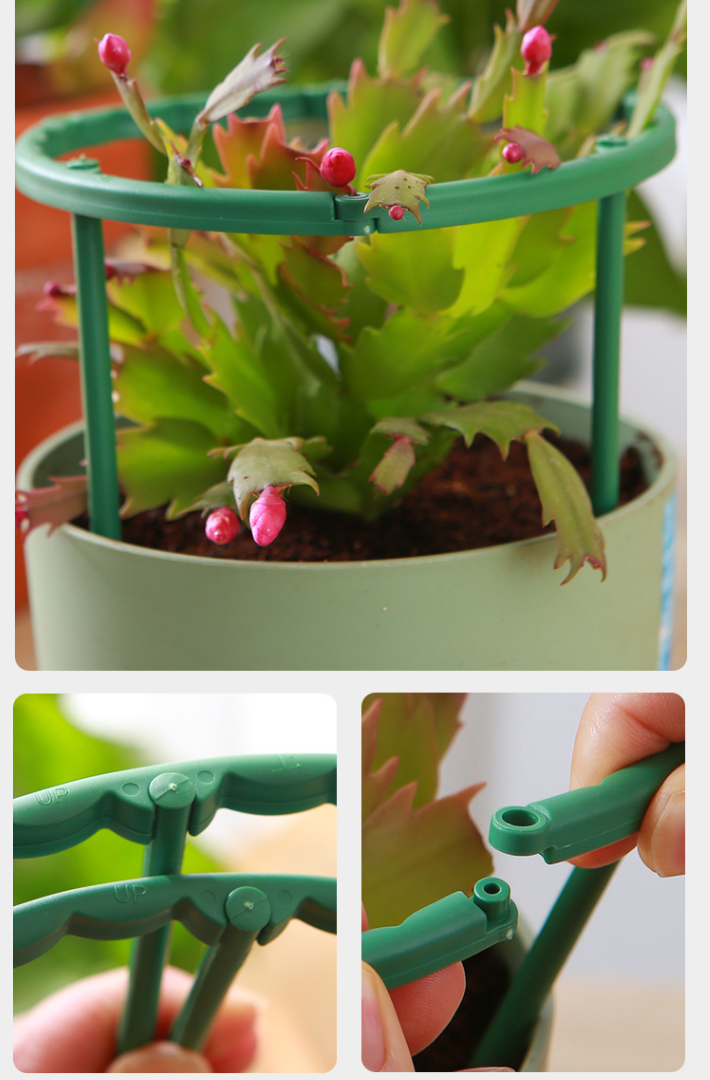 Semi-circular Interlocking Plant Support Stand