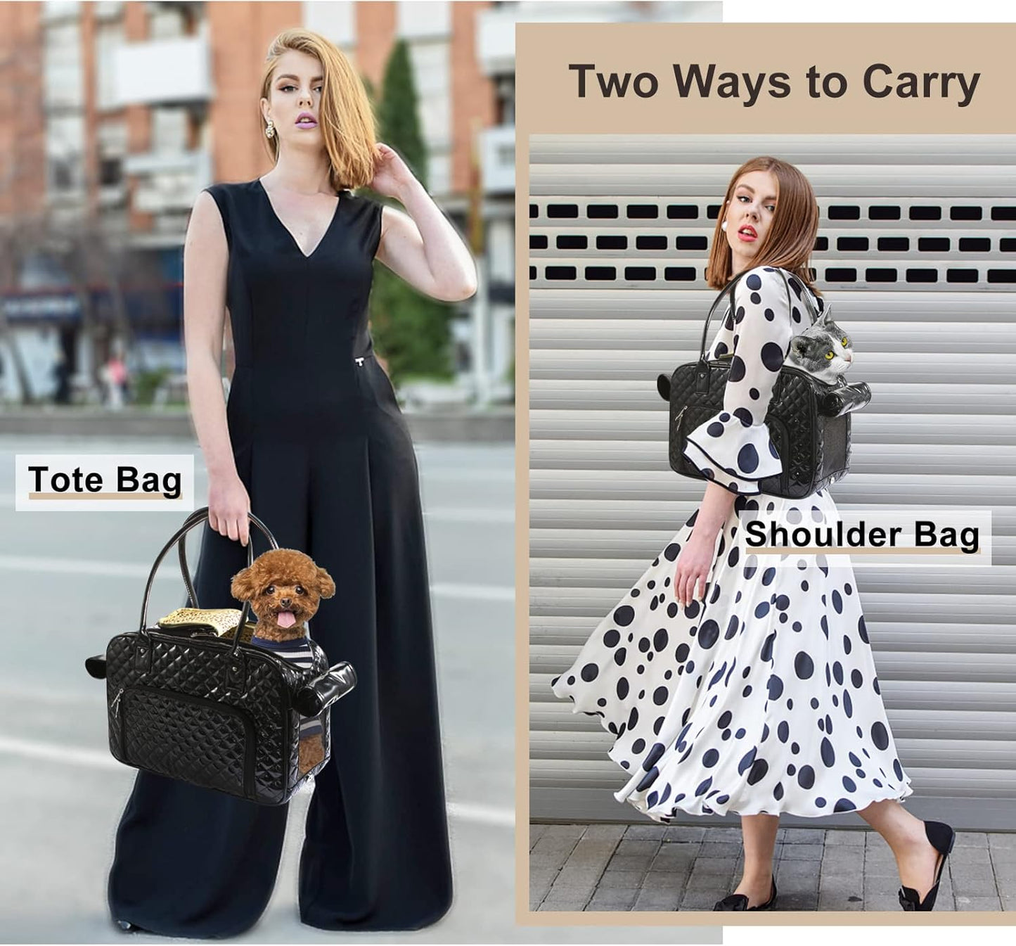 Portable and breathable foldable pet bag