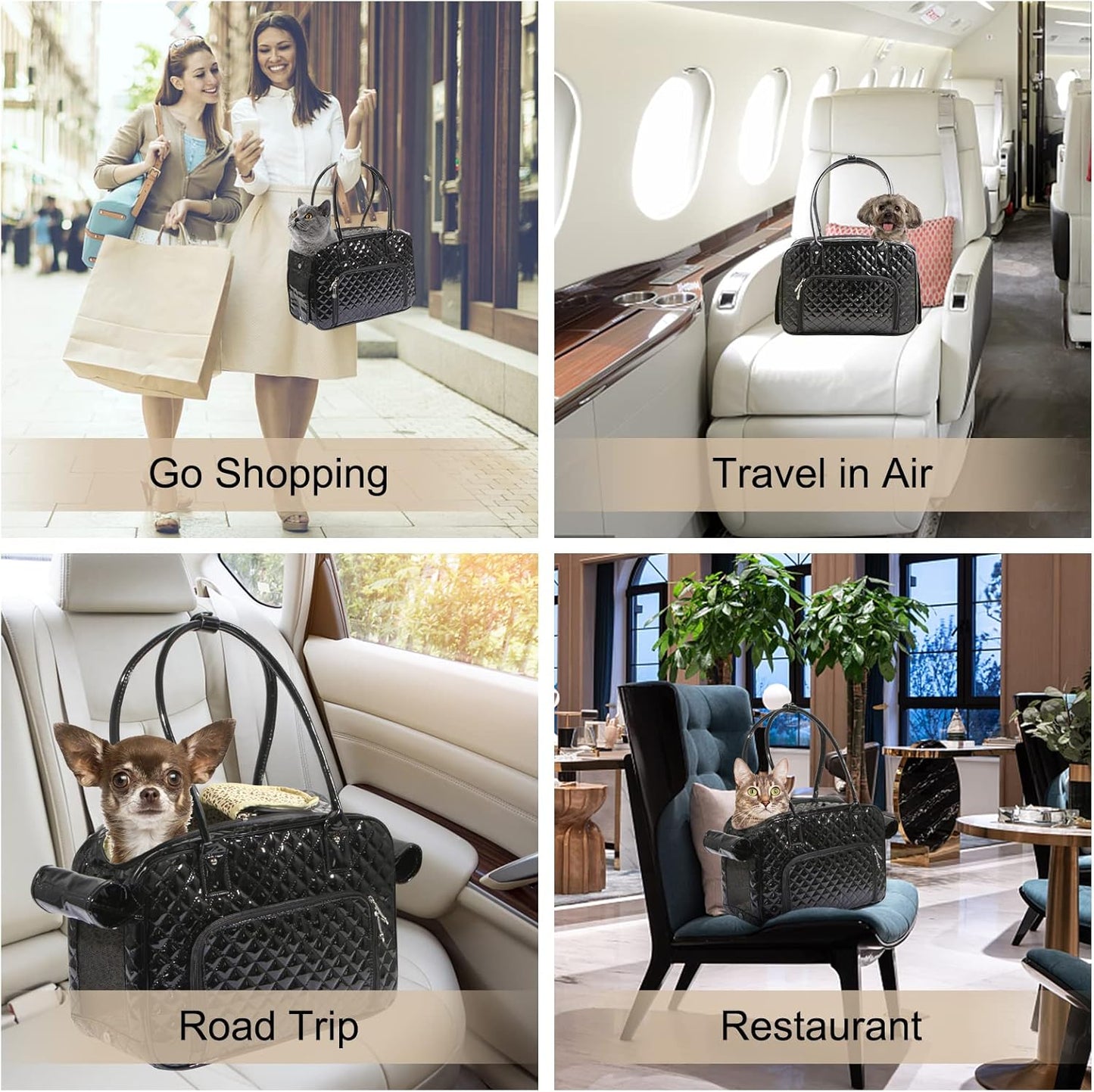 Portable and breathable foldable pet bag