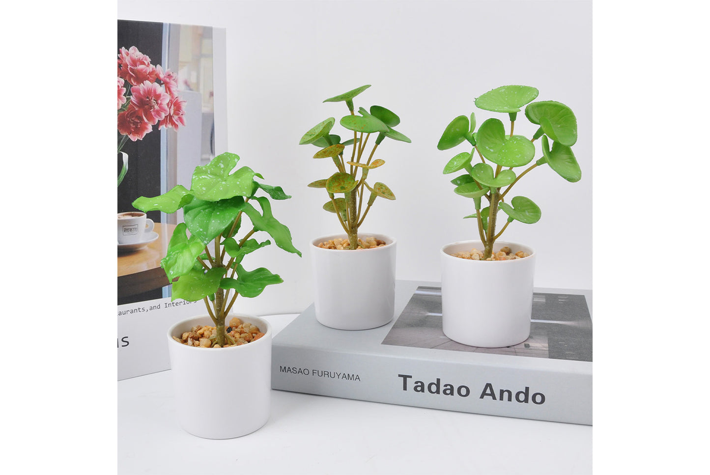 Halloween Simulated Plant Pots | Skull/White Pot/Succulent Series