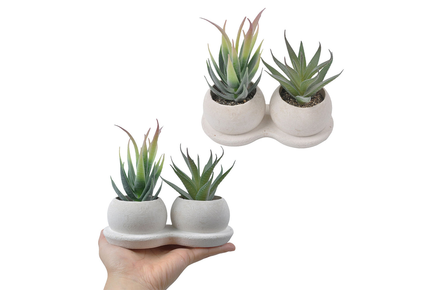 Halloween Simulated Plant Pots | Skull/White Pot/Succulent Series