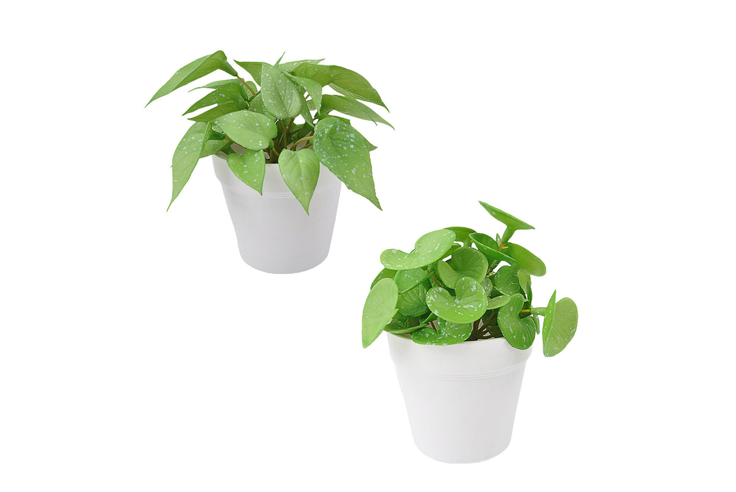 Halloween Simulated Plant Pots | Skull/White Pot/Succulent Series