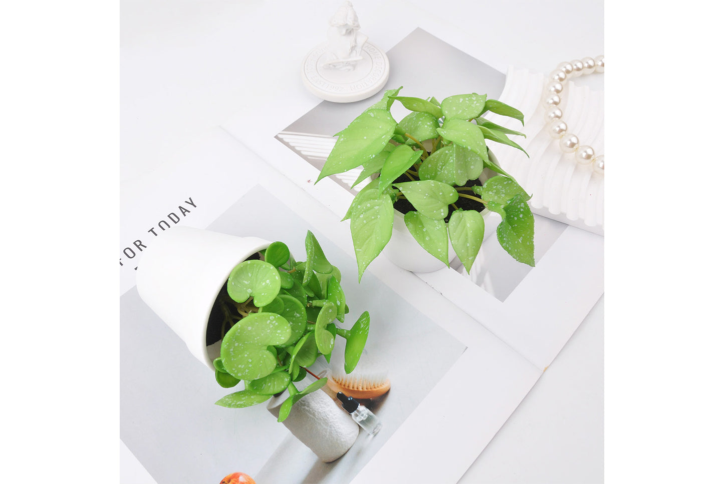 Halloween Simulated Plant Pots | Skull/White Pot/Succulent Series