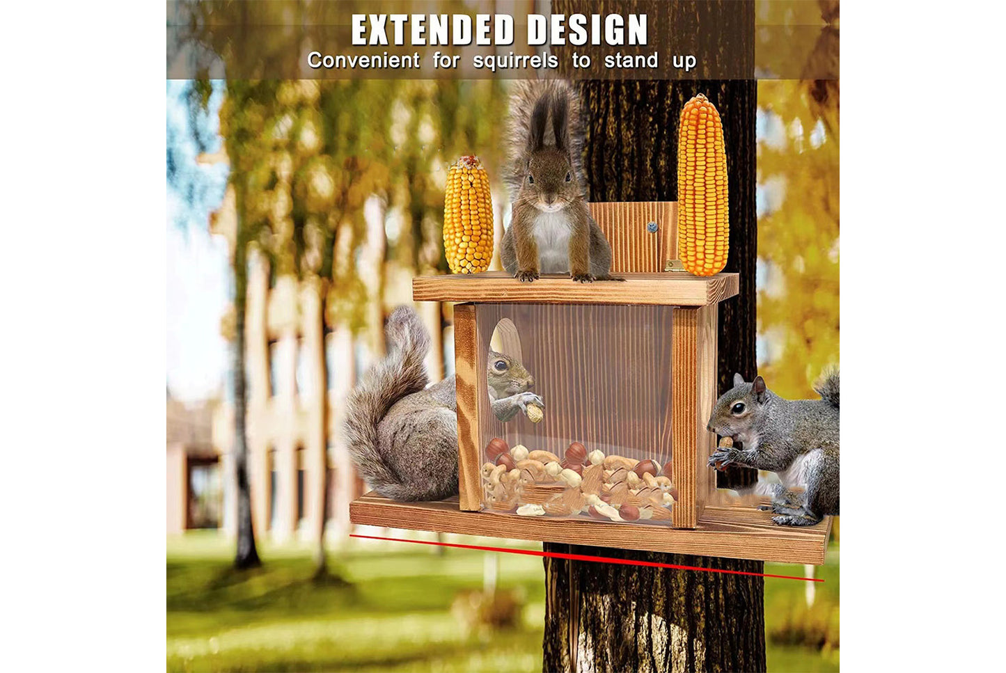 Wooden Squirrel Feeder