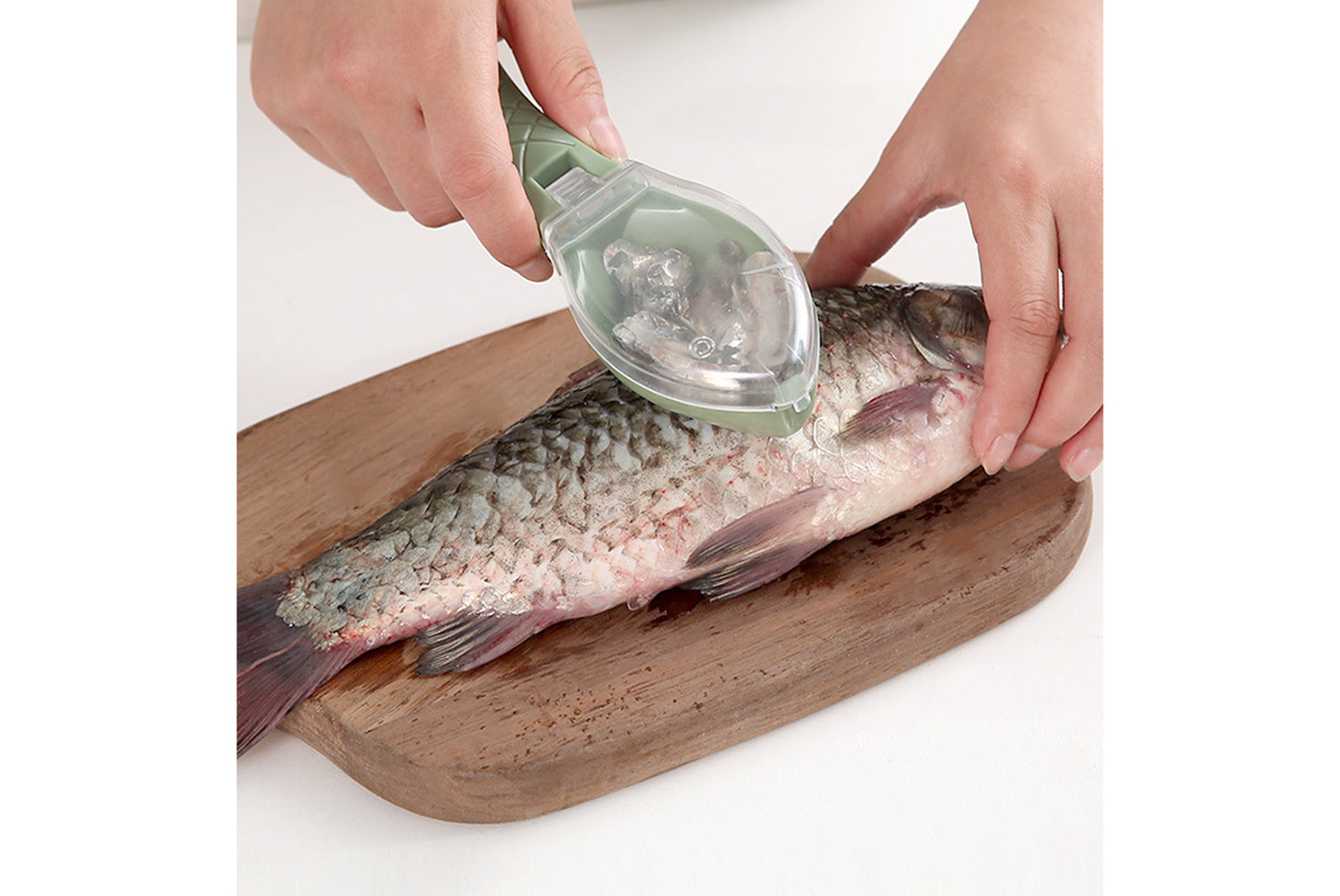 Household fish scaler with lid
