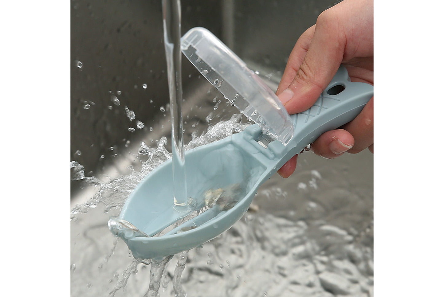 Household fish scaler with lid