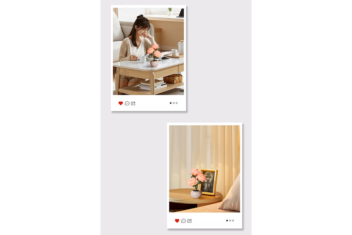 Preserved Rose Night Light