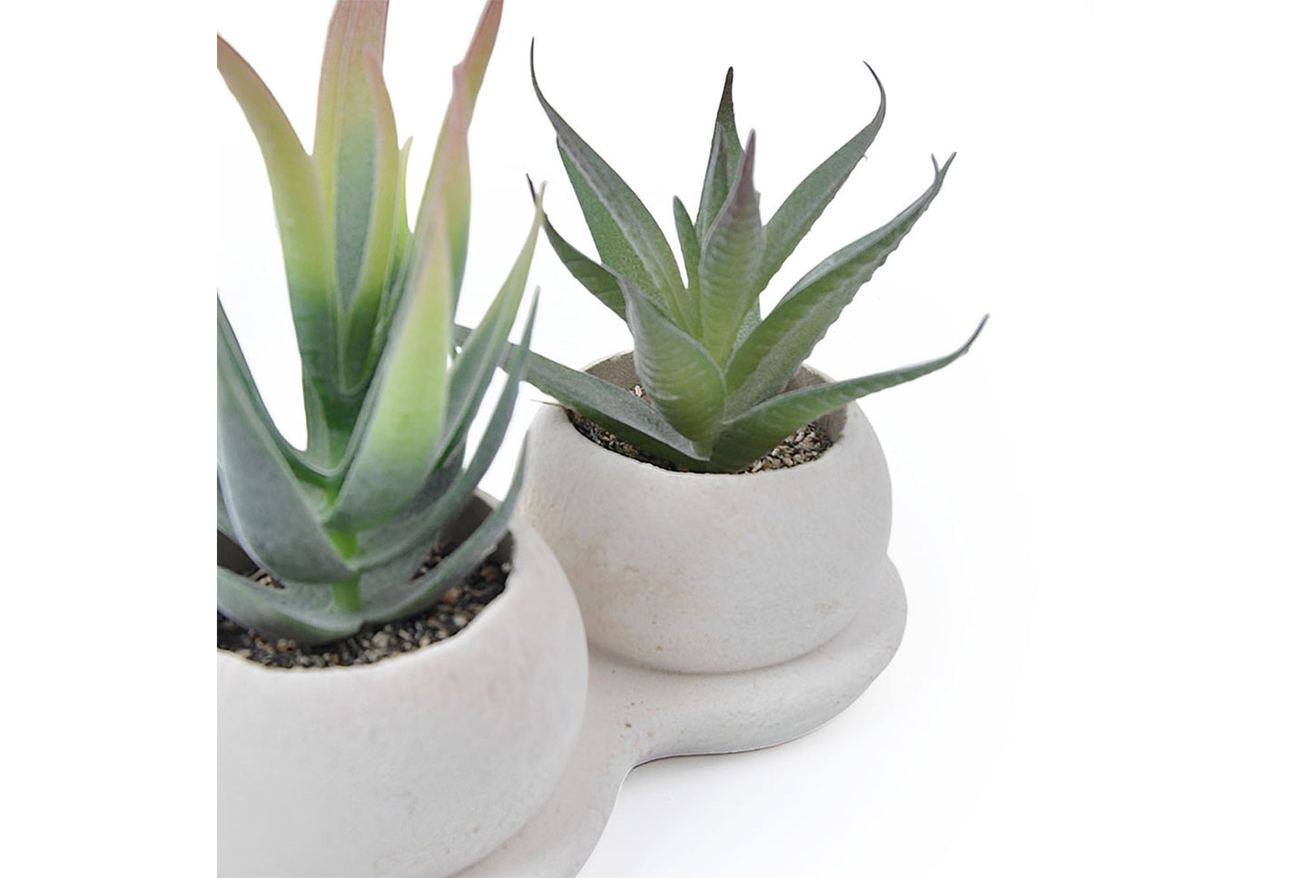 Halloween Simulated Plant Pots | Skull/White Pot/Succulent Series