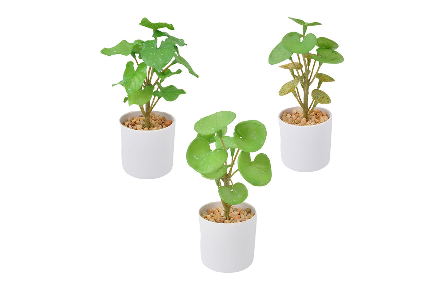 Halloween Simulated Plant Pots | Skull/White Pot/Succulent Series