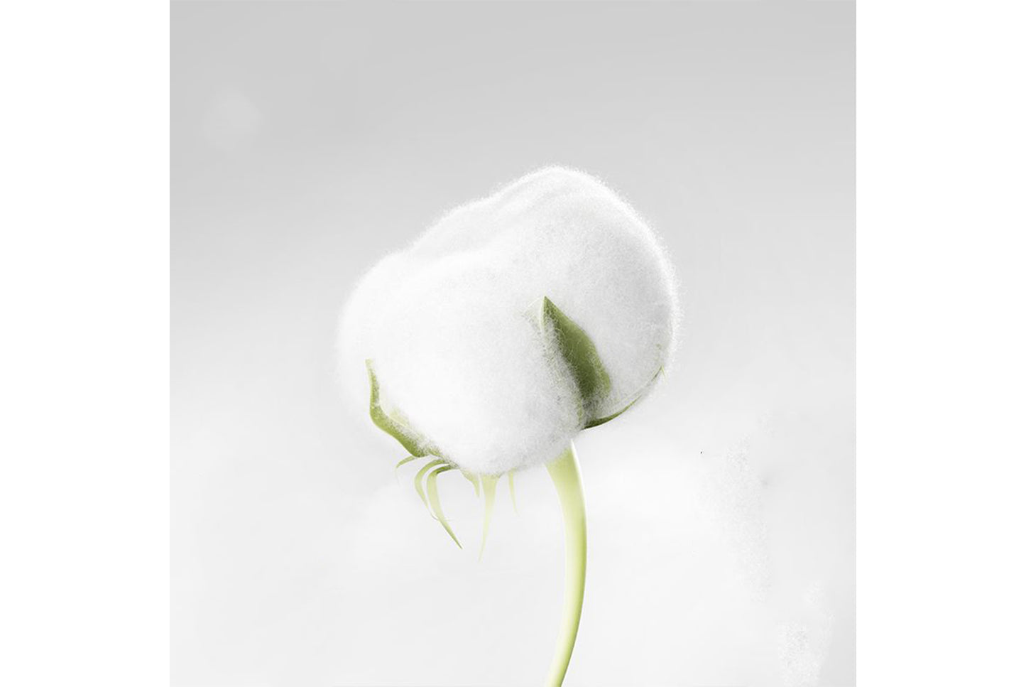 Men's Class A Pure Cotton Antibacterial Boxer Briefs