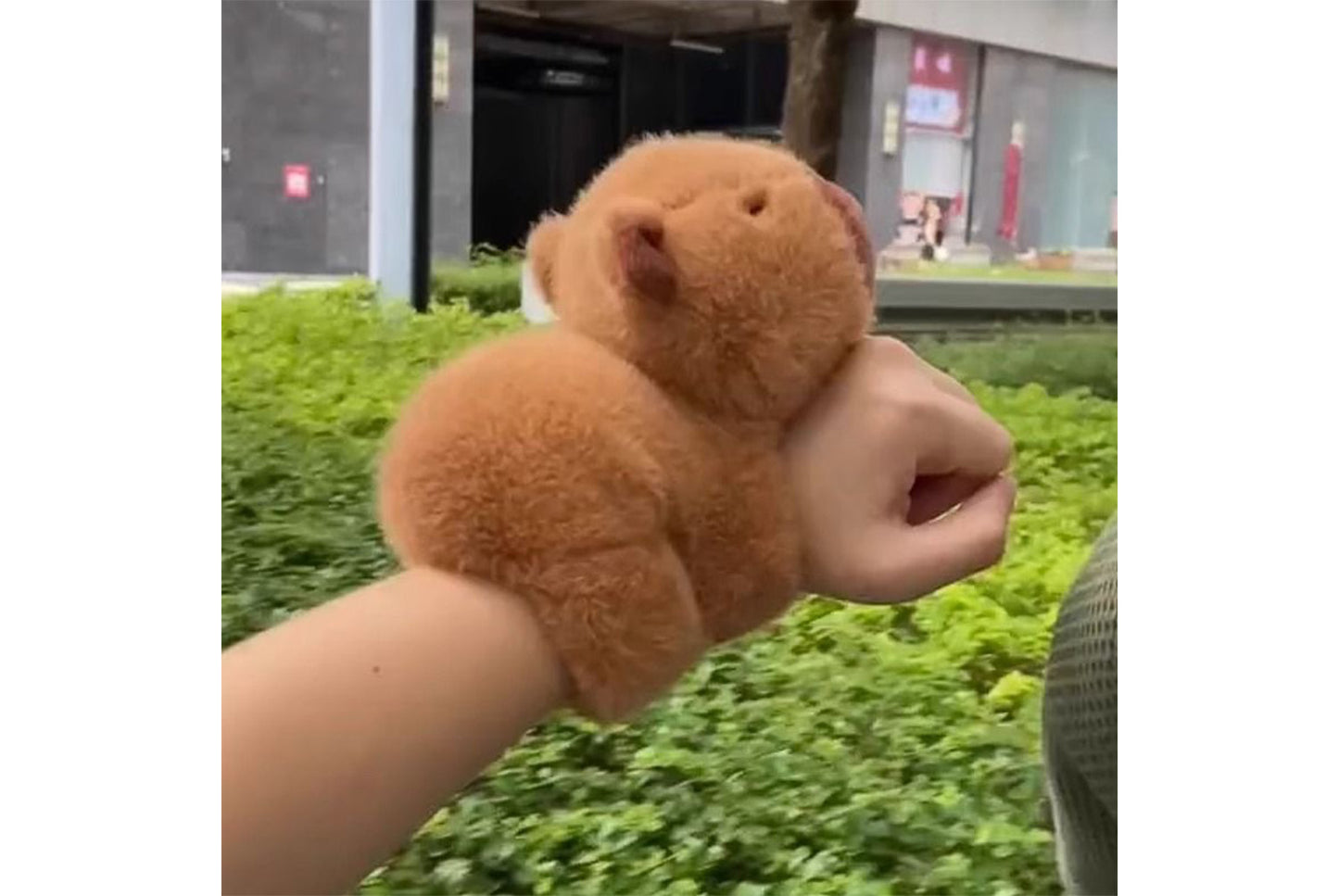 Capybara Papa Bracelet
