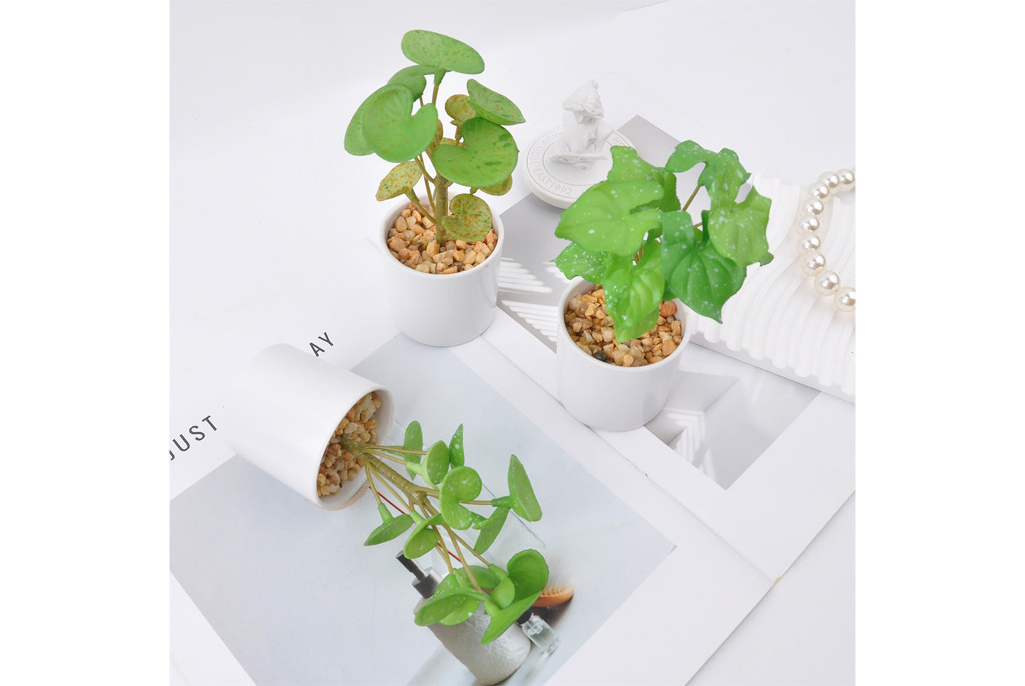 Halloween Simulated Plant Pots | Skull/White Pot/Succulent Series