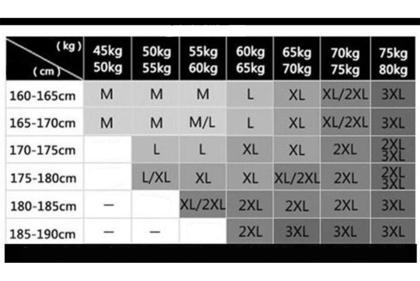 Stand-Collar Harrington Jacket