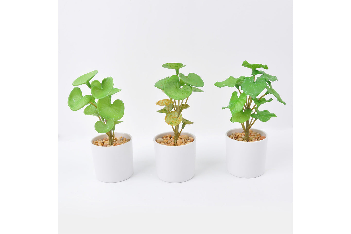 Halloween Simulated Plant Pots | Skull/White Pot/Succulent Series