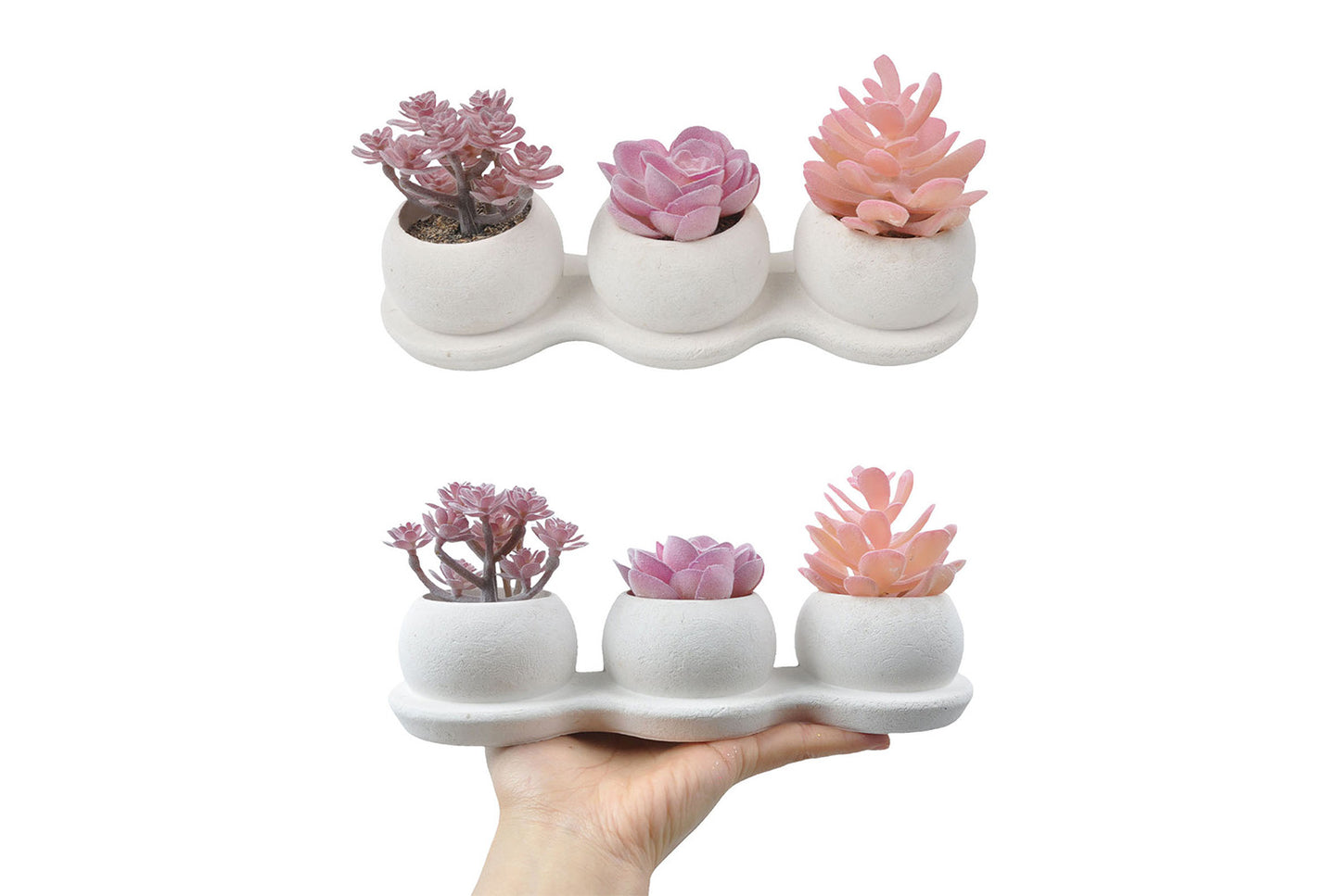 Halloween Simulated Plant Pots | Skull/White Pot/Succulent Series