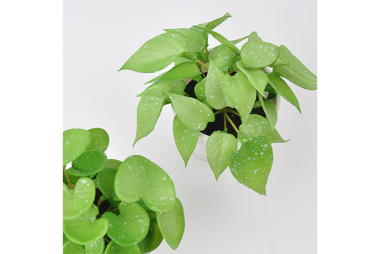 Halloween Simulated Plant Pots | Skull/White Pot/Succulent Series