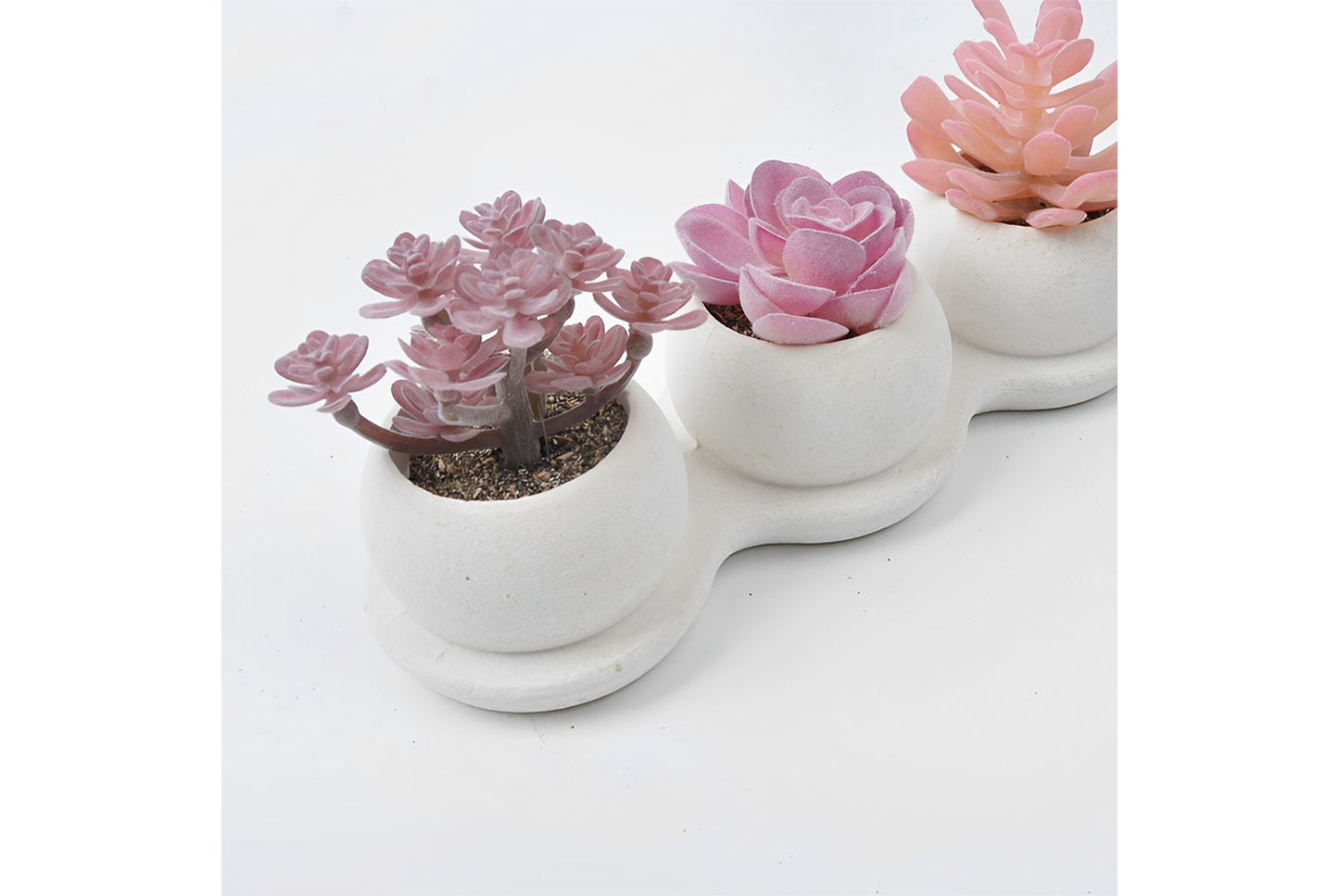 Halloween Simulated Plant Pots | Skull/White Pot/Succulent Series
