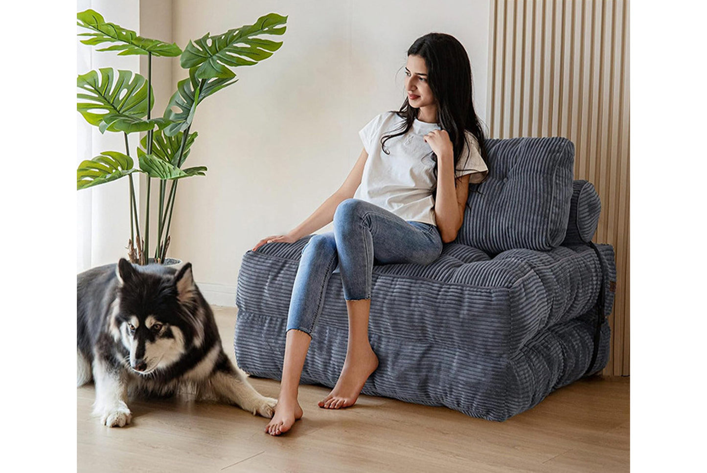 **Multifunctional Folding Sofa Bed (Compressed Vacuum Lazy Sofa)**