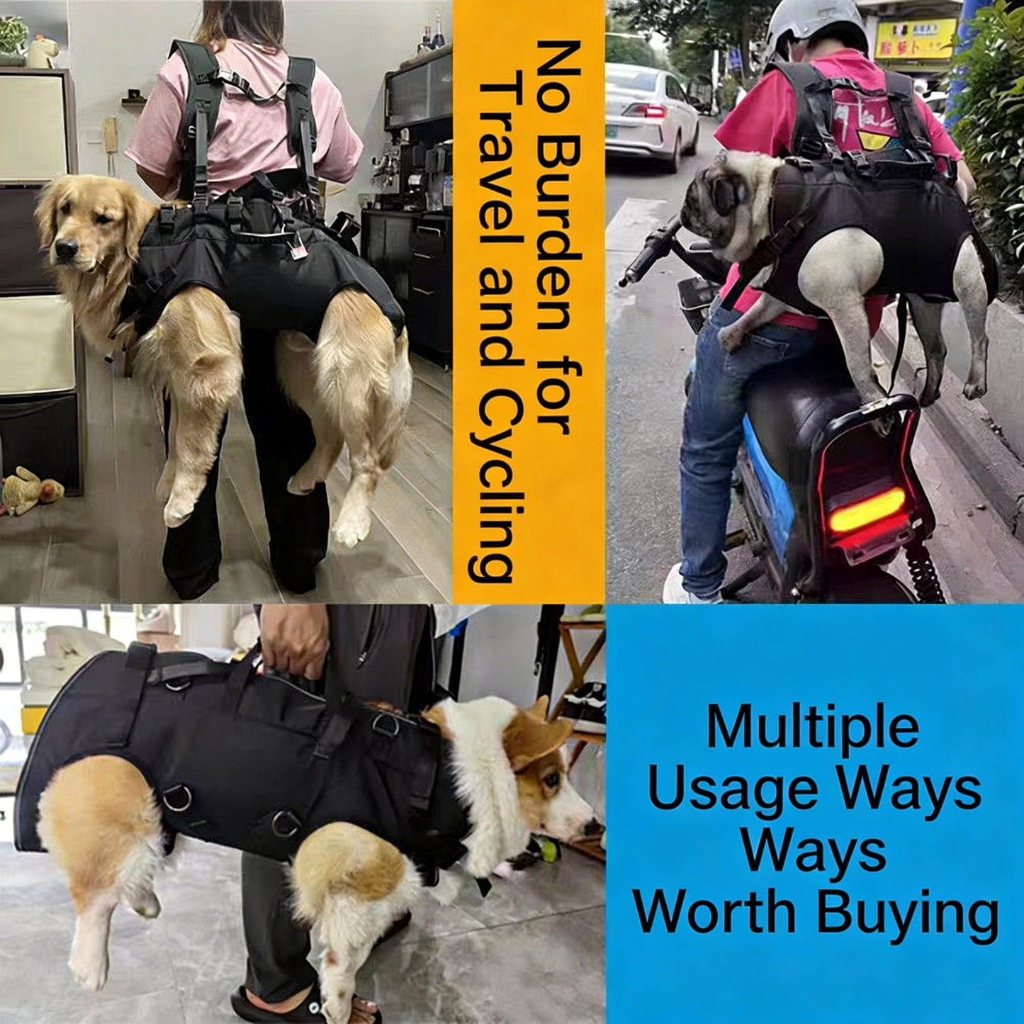 Pet outdoor backpack